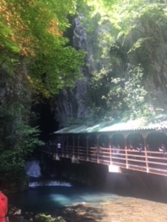 image1 (6)