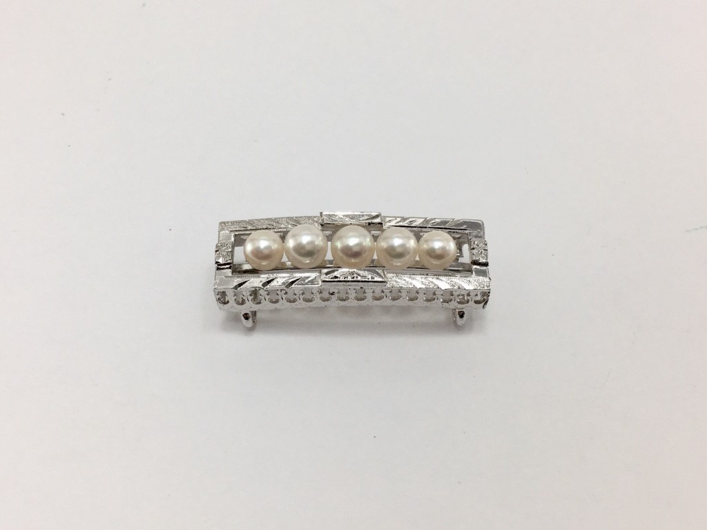 20171113_180323_0221 - コピー