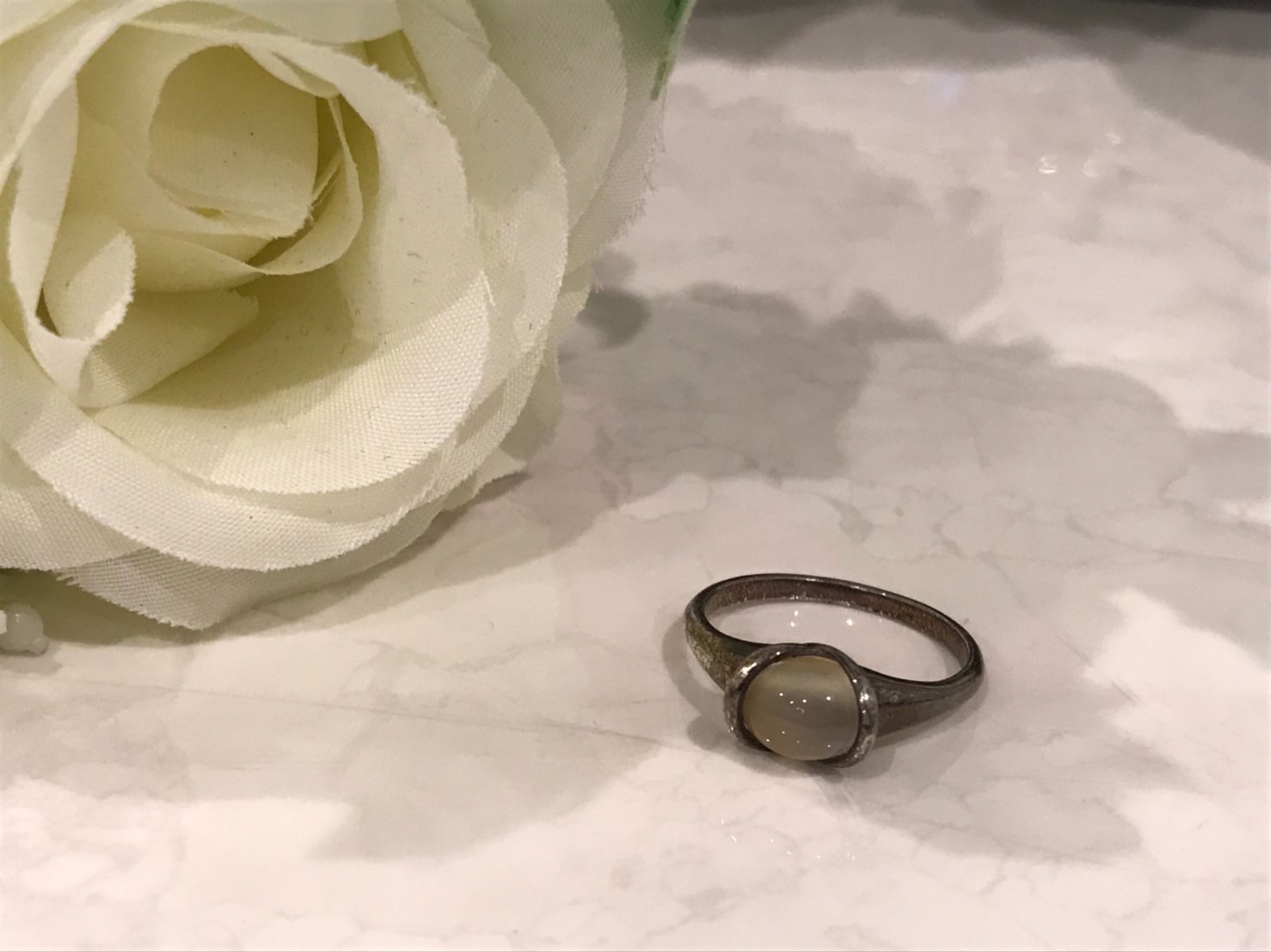 本店ブログ用写真_190830_0038