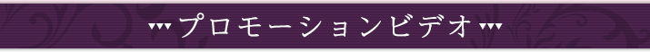 プロモーションビデオ