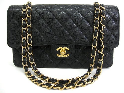 81VdWIkibUL._UX500_[1]