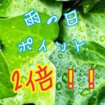 雨の日、7のつく日はポイント2倍です‼️